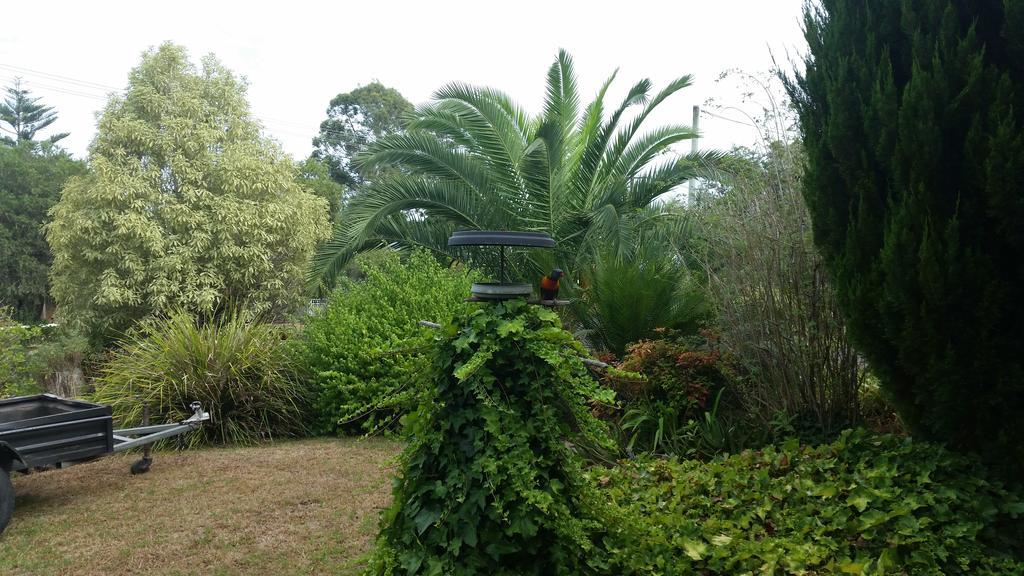 Cottage By The Bay, Pet Friendly Batemans Bay Exteriör bild